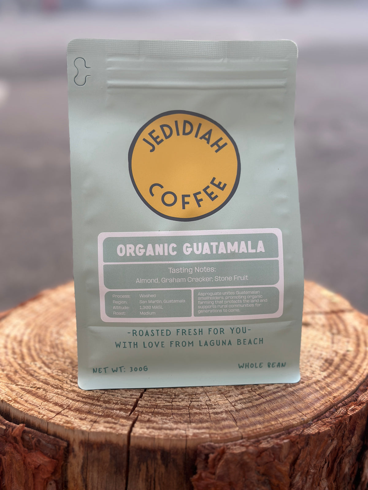 Beans | Guatemala San Martin Organic
