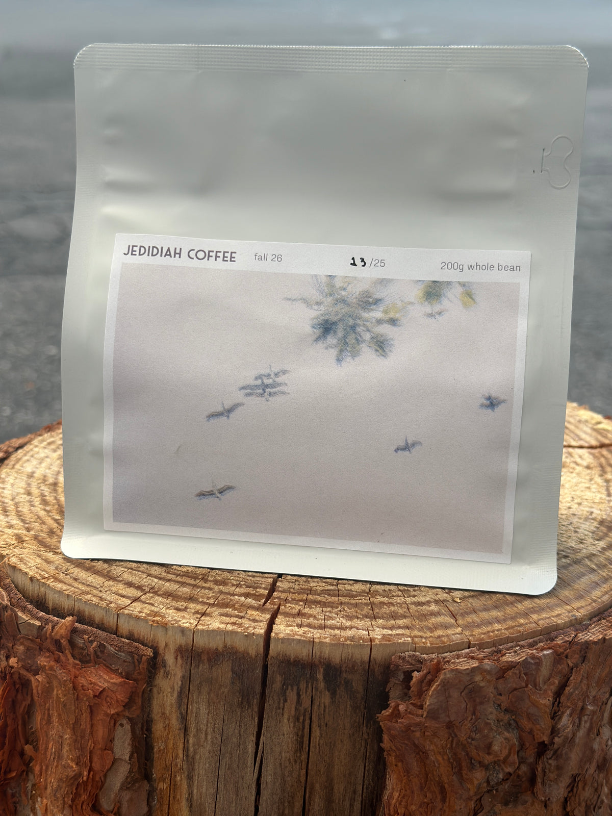 Beans | Ethiopia Gori Gesha Wine Natural Gr1