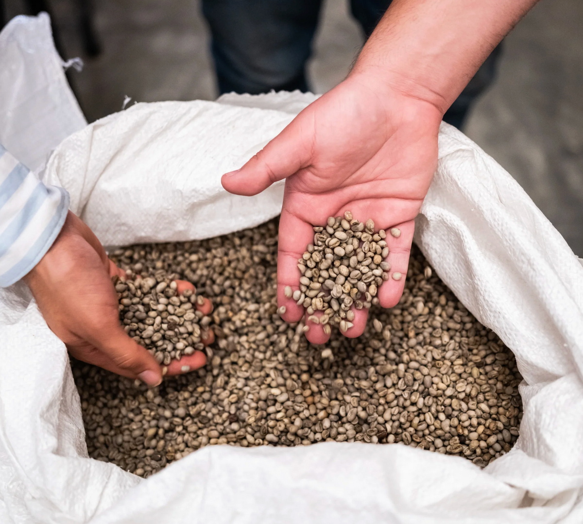 Beans | Mexico Naranja EA Sugarcane Decaf